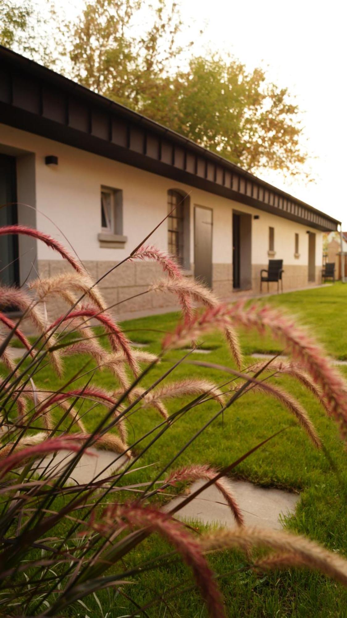 Remise Brasch - Zwischen Bahnhof Und Elbe Apartment Wittenberge Exterior foto